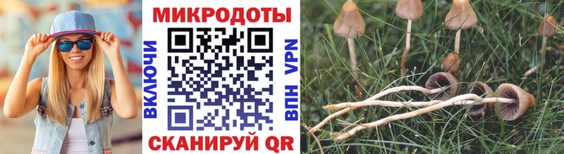 мега вход  Апрелевка  Псилоцибиновые грибы GOLDEN TEACHER 